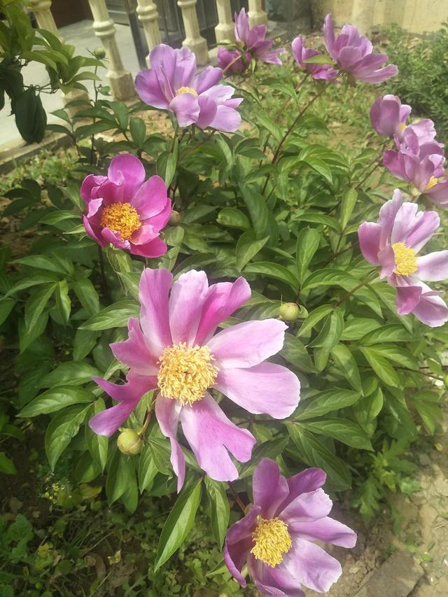 最好的季节