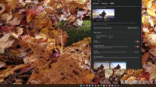 升级Windows 11的九个理由