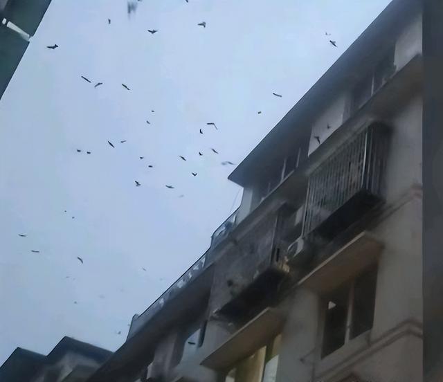 头皮发麻鸡皮疙瘩