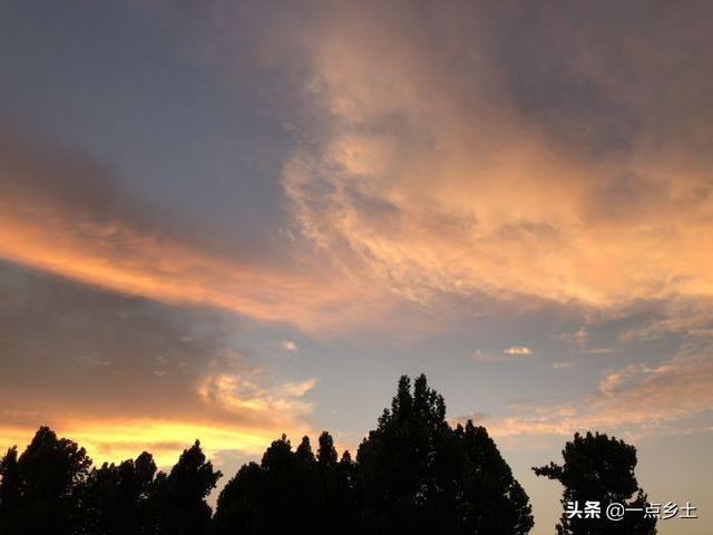 春分木生火，火在子水中，今日春分，有啥特点？看古人的经验咋说