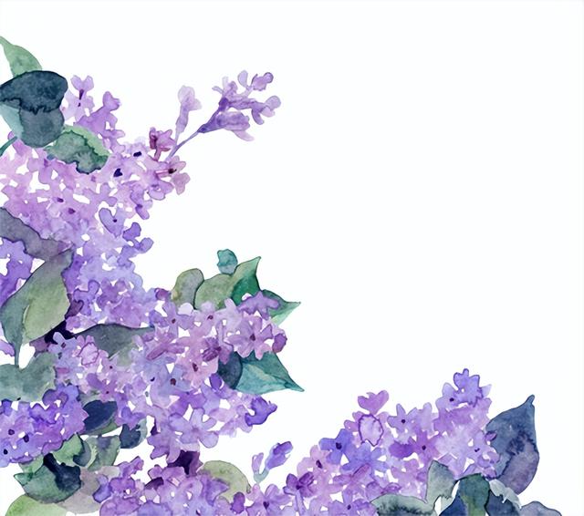 花卉图案手绘简单（漂亮的花卉手绘图案）(2)