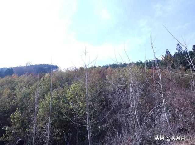 探訪京山的天坑