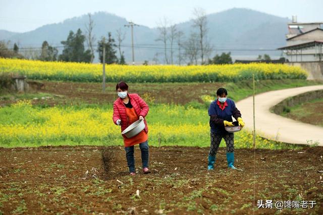 惊蛰前后，建议给家人多吃“5个鲜”，营养丰富，鲜嫩爽口，真香