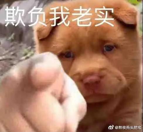 这就是来自爸爸的爱吗？