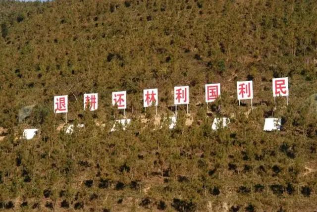 https://blog.sina.com.cn/s/blog_9766a3620102yz26.html