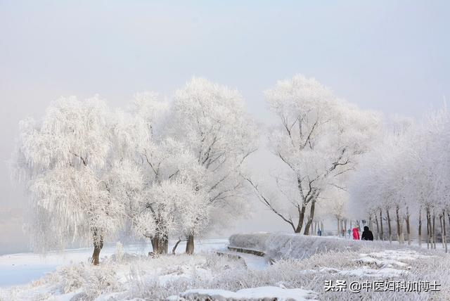 大雪，阴气最重的15天，教你4个简单实用的藏阳方法