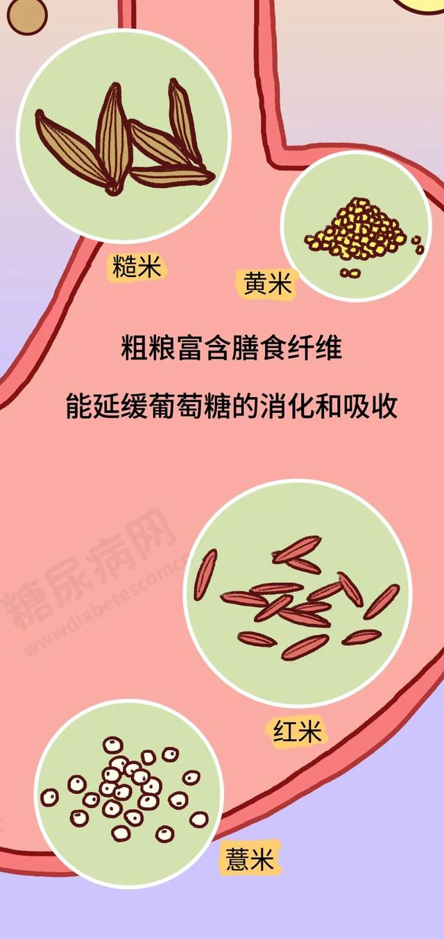 「科普营养」米饭“加点料”，血糖更平稳