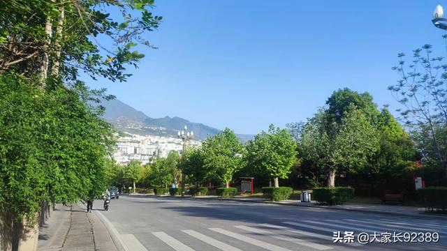 春归时，我把春天收藏