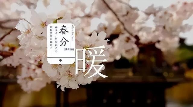 春分过后，养肝、祛湿、排毒黄金期，这样做，事半功倍