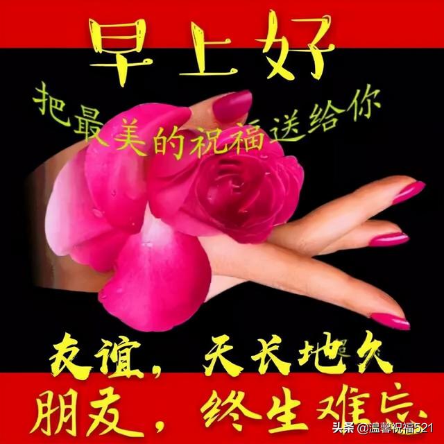 有创意的早上好问候表情图片.唯美的早安祝福语句子