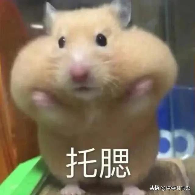 ���������Ŀ������(������Ů����ֵӰ���ж��)