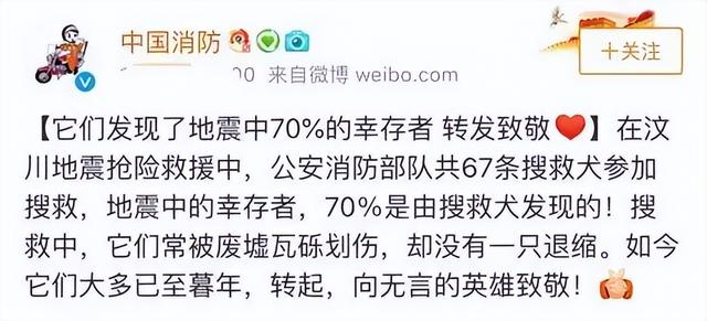 搜救犬多厉害？500平方米1滴血，搜救犬用时87秒就找到