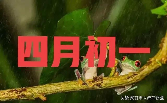 今日是四月初一，老话“四月怕初一，风雨麦不收”啥意思？怕啥？
