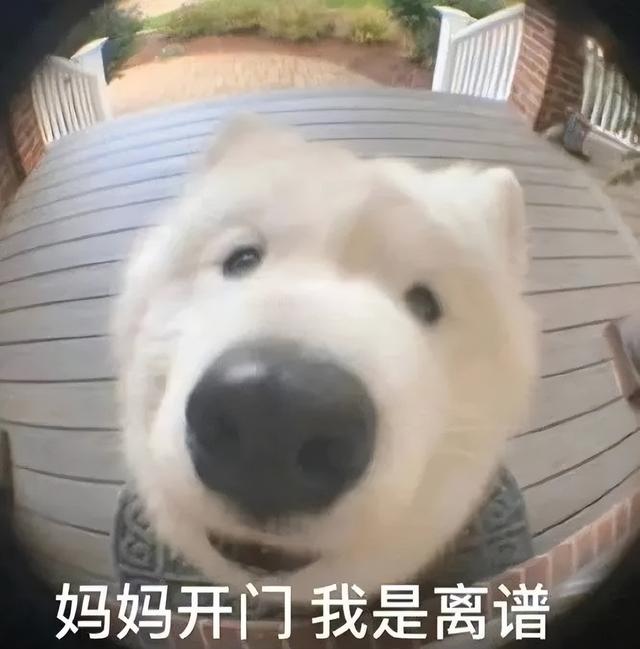 如何刷新微信新朋友-苹果如何刷新微信新朋友