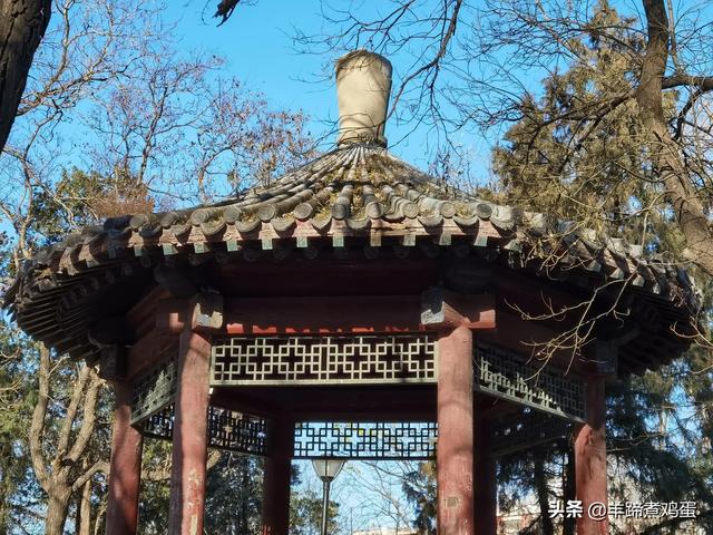 一隅山水鬧市藏 精巧布景多風光——北京東單公園冬日時光