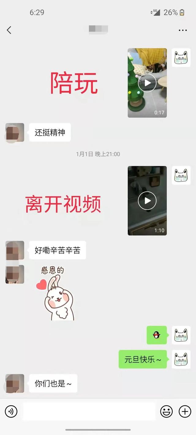 深圳宠物领养