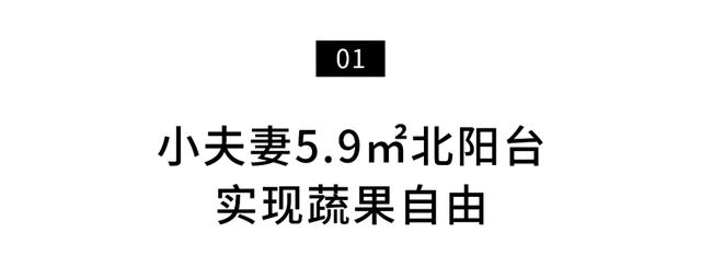 小夫妻在5.9㎡阳台种菜，疫情下蔬果不断