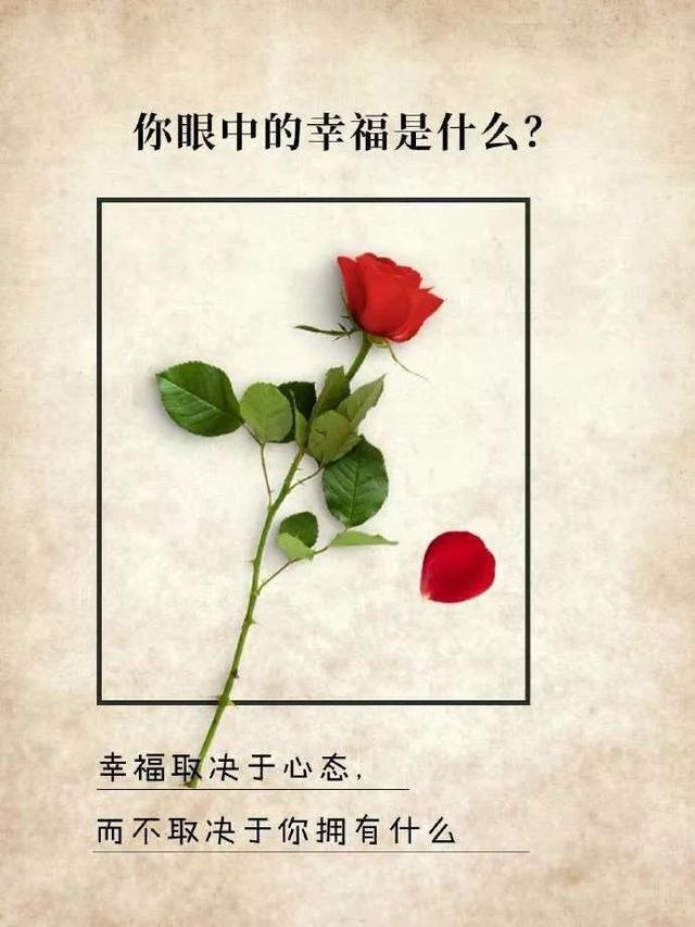 早安正能量唯美短句心语（2022.10.18早安心语正能量精致语录）(29)