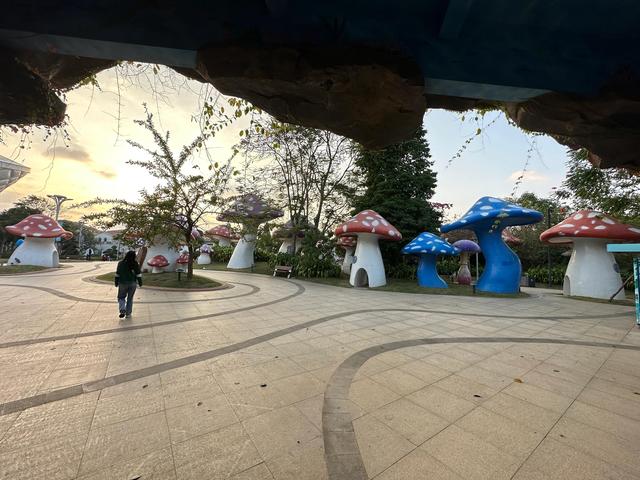 海南东西环岛自驾游攻略详细行程（2023新年海南环岛自驾十日游）(10)