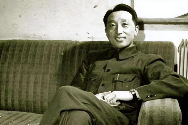 张作霖在皇姑屯被炸死后，留下了8个儿子，结局都如何？