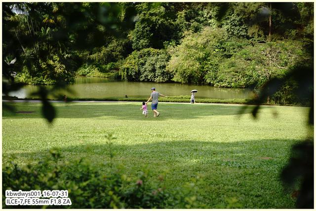 生活雜記：坡島散記08——流連忘返植物園