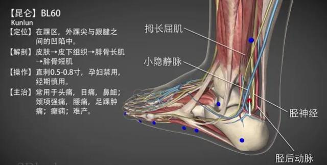 昆仑穴—腰腿疼痛疾病