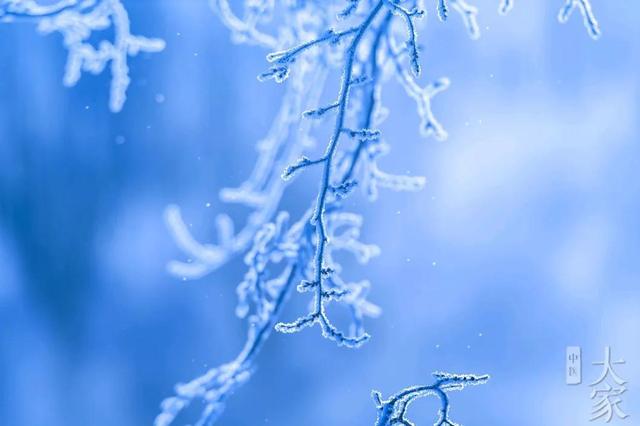 大雪，十一月节。大者，盛也。至此而雪盛矣