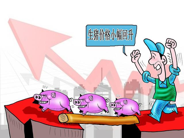 春天来了！猪价“插翅腾飞”，大涨18%，发生了啥？又缺猪了吗？