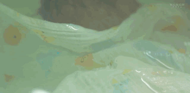 ��������ӰϷ���ڶԻ�Ƭ��(�����ǵĻ����������ѣ�ֻ���װٺΡ���䡱Ӫ����)