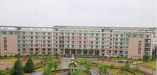 折翼天使顽强产婴，34岁四肢截肢孕妇，靠腕部发力顺利当妈