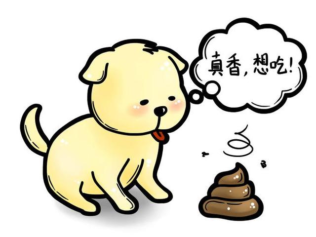 狗狗的便便有点绿色是什么原因(狗狗软便治疗方法)-艾拉狗狗乐园