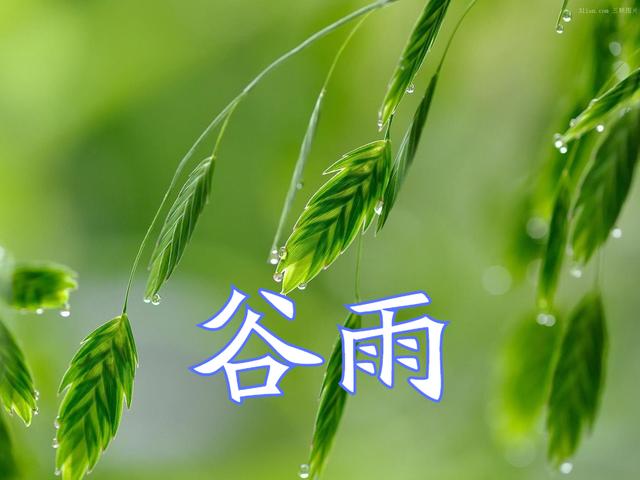 谷雨将至，提前备好5种食材，预防“湿邪”侵袭伤身，身体更健康