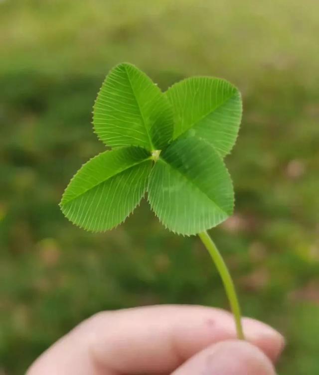 在薄情的世界，深情地活着