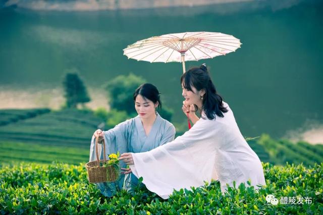醴陵限定版美图上线，看完很哇塞！