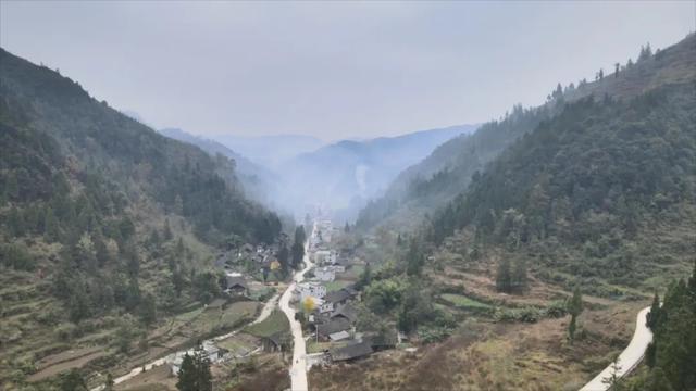 遵义大型木材破碎机