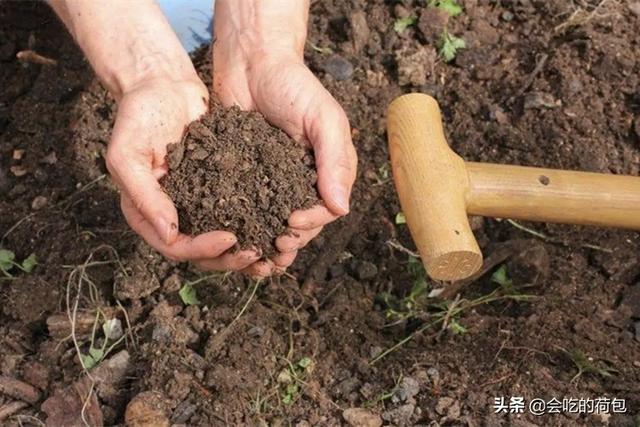 https://blog.sina.com.cn/s/blog_4de255b301032uv5.html