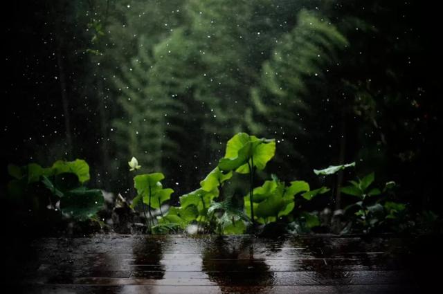 https://blog.sina.com.cn/s/blog_9766a3620102yz3l.html