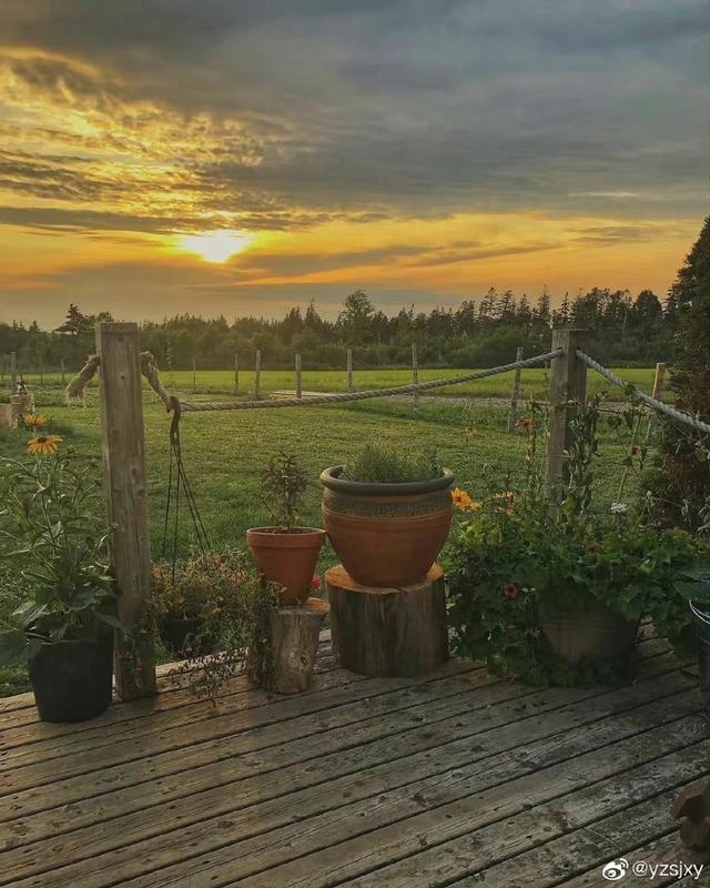 [苹果快乐星球语音群发]，微信怎么上传动态图到朋友圈