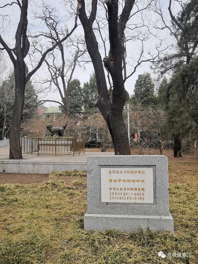 暢觀樓前的一對銅獸 百年前竟然能噴水