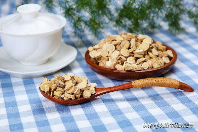 人身诸病，始于脾虚，聊一味白术，送给脾胃虚弱的你