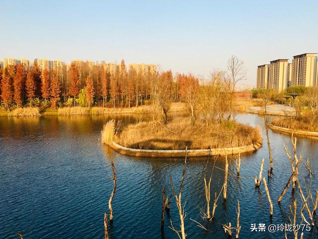 長沙唯一擁有戶外足球場的公園，更有大片水杉美景等你來