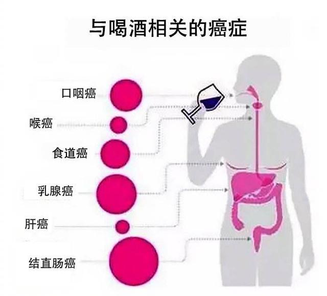 饮酒不过量就没事？这4类人最好做到“滴酒不沾”