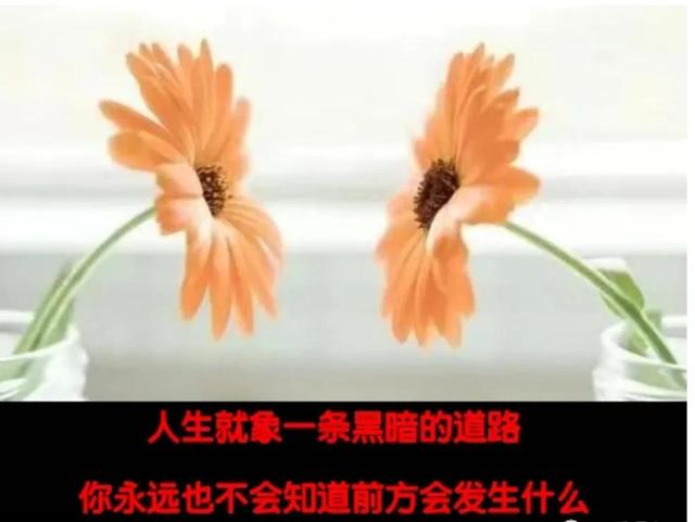 如何去做一件事