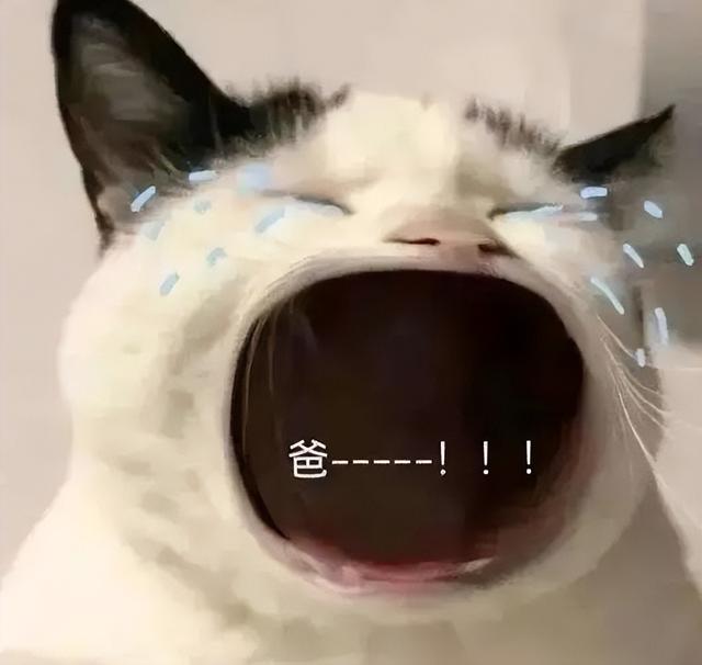 [小鲤鱼自动跟踪转发]，微信充话费显示已达上限