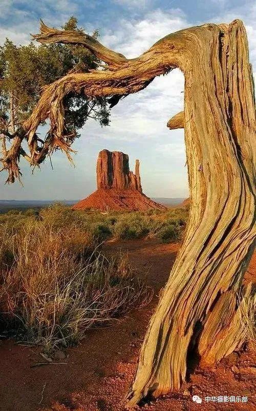 太美了！金奖摄影作品欣赏——