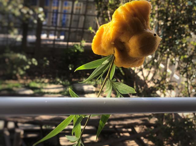 清明放假通知，记得要吃6种食物，寓意全家无灾无病，好运常相伴