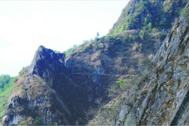 最后的“采燕人”：一斤售价2万6，每次浑身衣服湿透，儿子不肯学