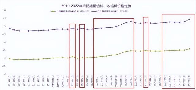 猪饲料比大米还贵，中国人还能“吃肉自由”吗？