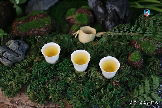 云南当地人都喝什么茶（云南的这些饮茶风俗）(5)