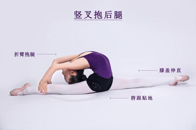 竖叉抱后腿站下腰抱腿燕式胸倒立胸倒立 腰背肌绷脚背站下腰胸倒立